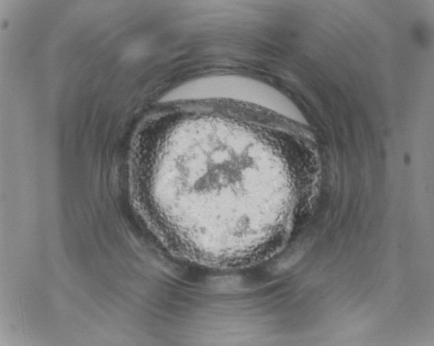 X0000073750266200608311942