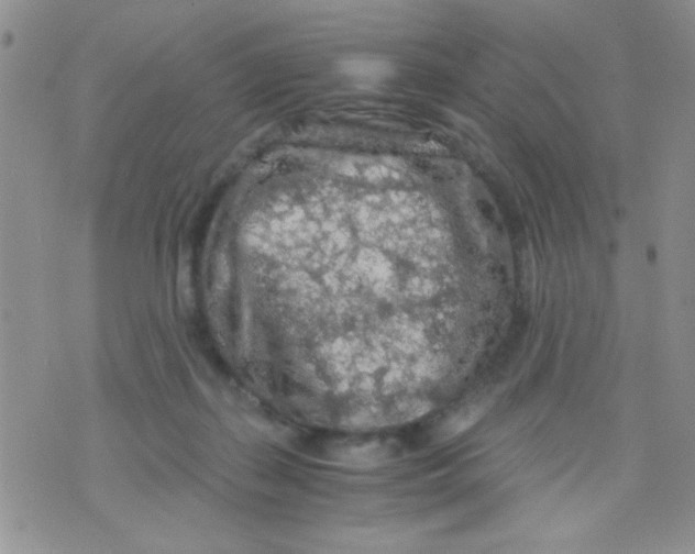 X0000073750267200608311942