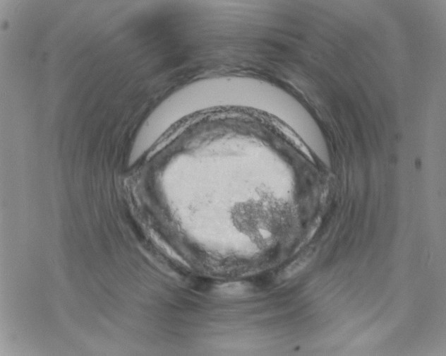 X0000073750269200608311942