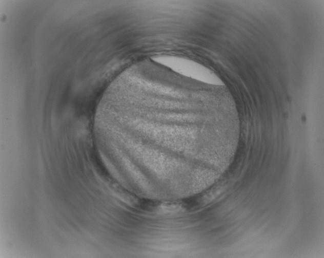 X0000073750270200608311942