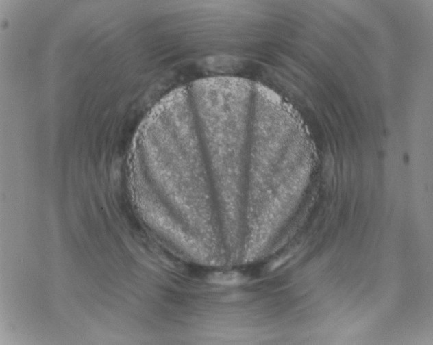 X0000073750271200608311942