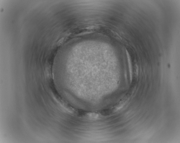 X0000073750272200608311942