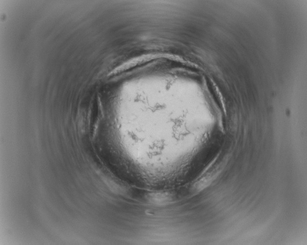 X0000073750273200608311942