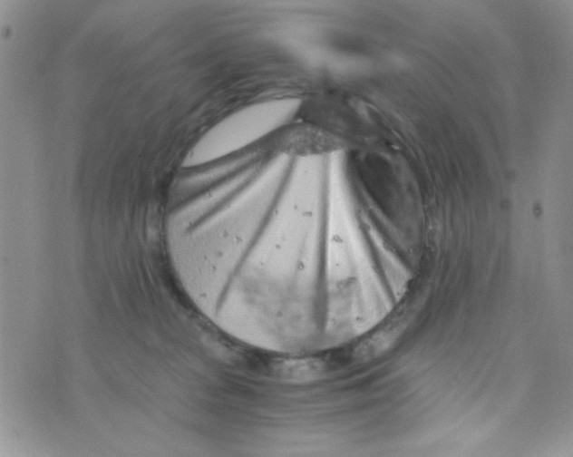 X0000073750277200608311943