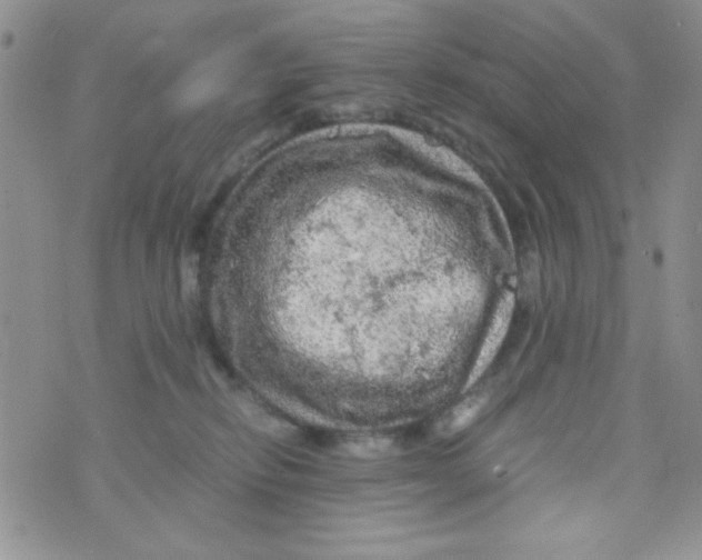 X0000073750278200608311943