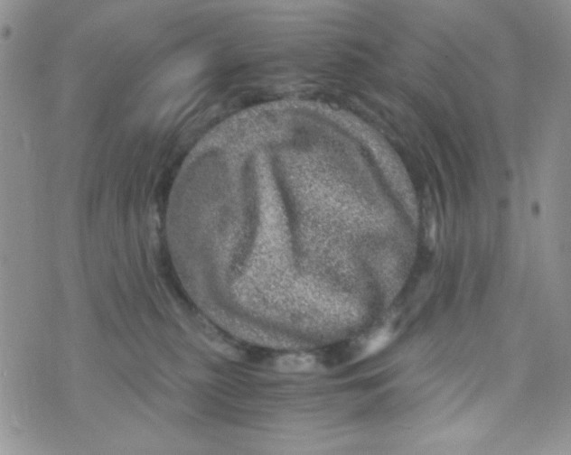 X0000073750279200608311943