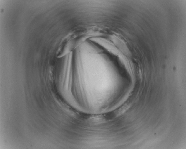 X0000073750280200608311943