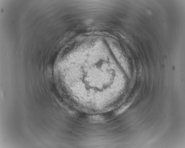 X0000073750281200608311943