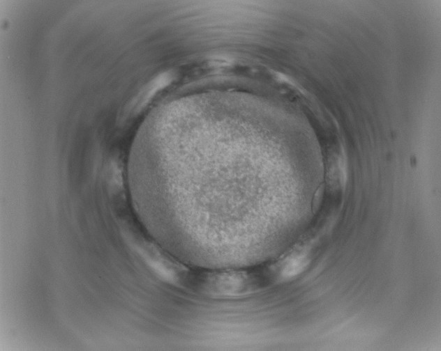 X0000073750282200608311943