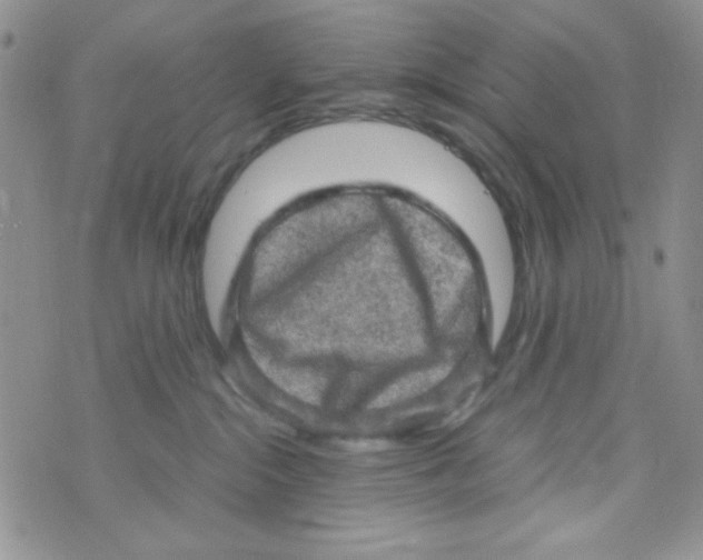 X0000073750284200608311943