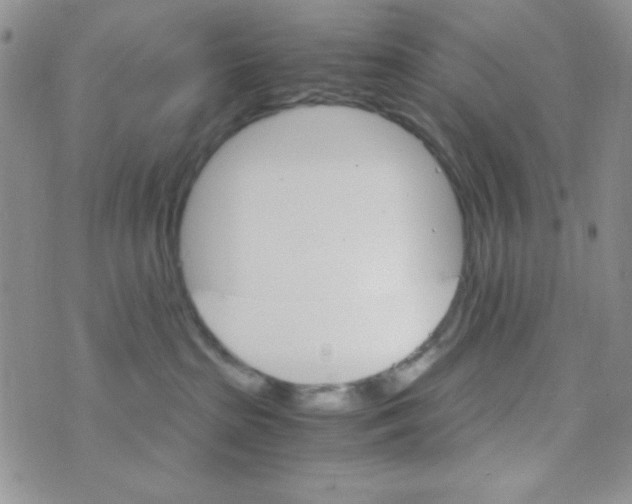 X0000073750285200608311943