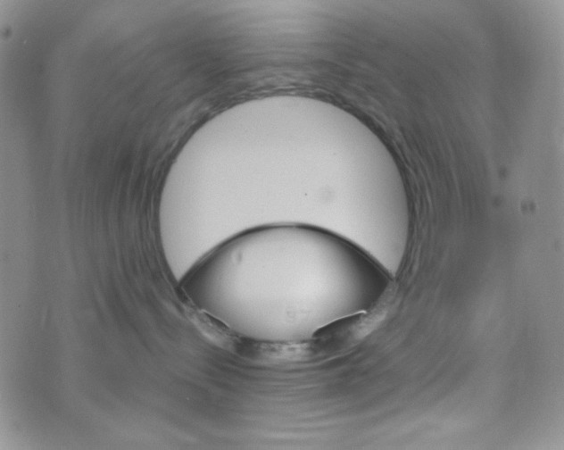 X0000073750288200608311943