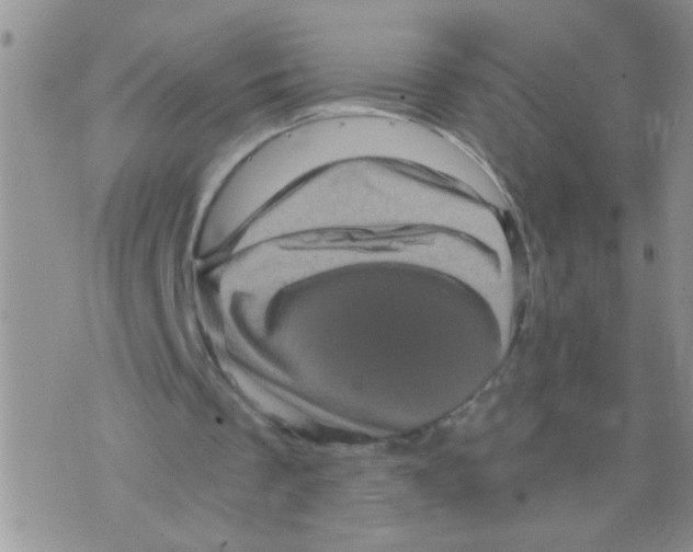 X0000073750289200608311942