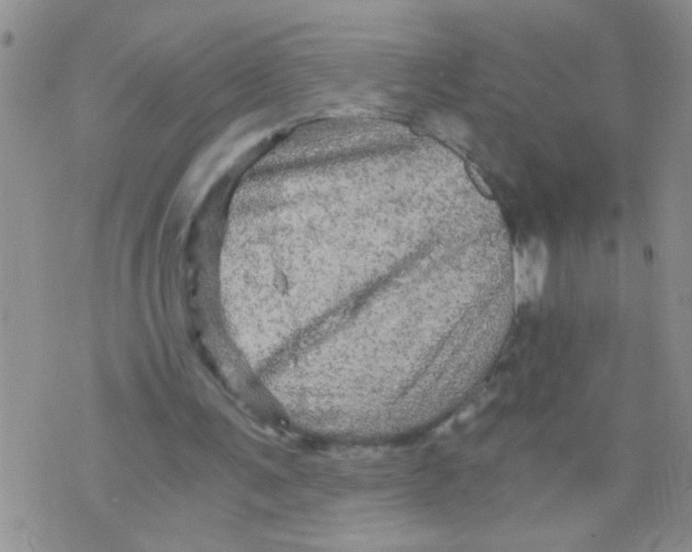 X0000073750291200608311942