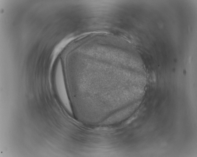 X0000073750294200608311942