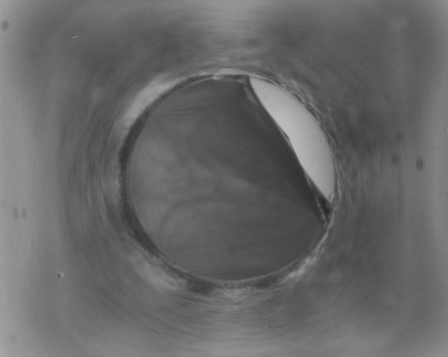 X0000073750295200608311942