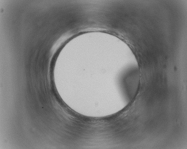 X0000073750296200608311942