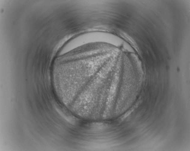 X0000073750298200608311942