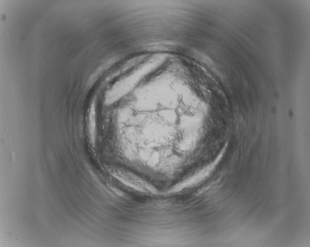 X0000073750299200608311942