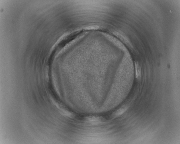 X0000073750300200608311942