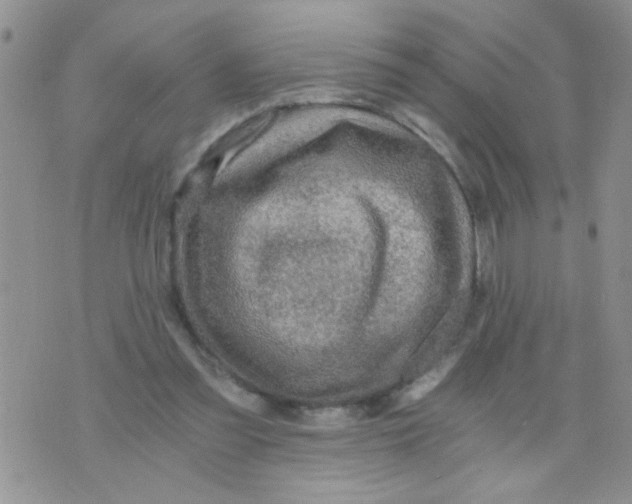 X0000073750301200608311942