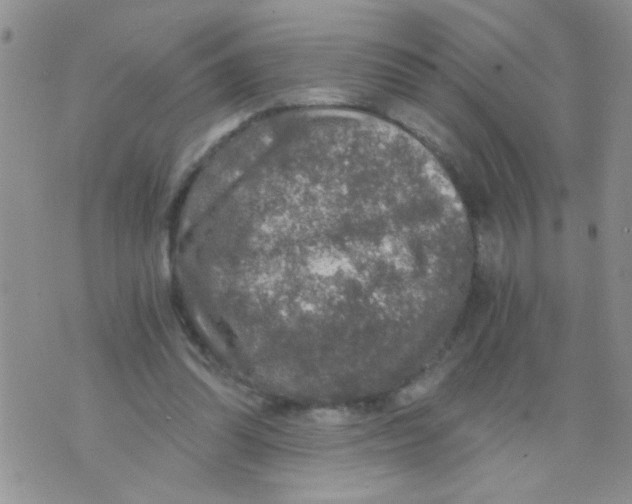 X0000073750302200608311942