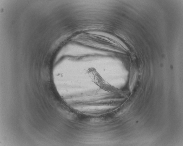 X0000073750303200608311942