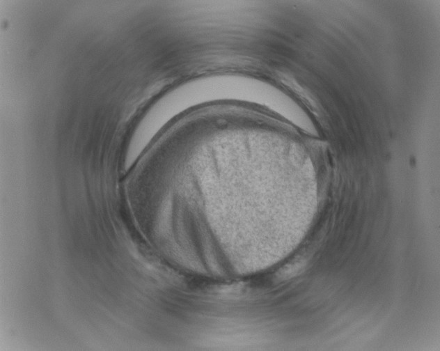 X0000073750306200608311942