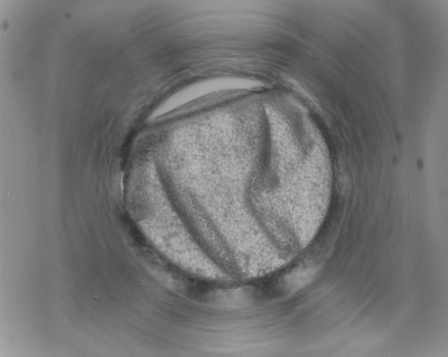 X0000073750307200608311942