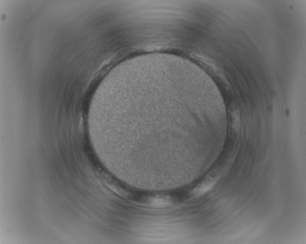 X0000073750308200608311942