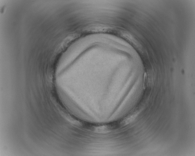 X0000073750309200608311942