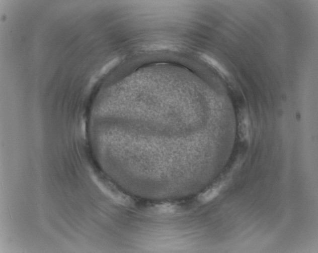 X0000073750310200608311942