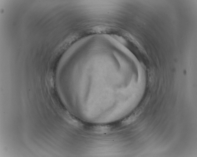 X0000073750313200608311942