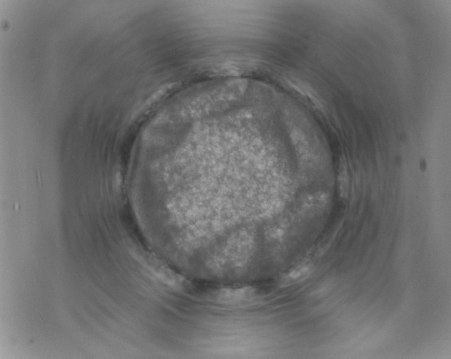 X0000073750314200608311942