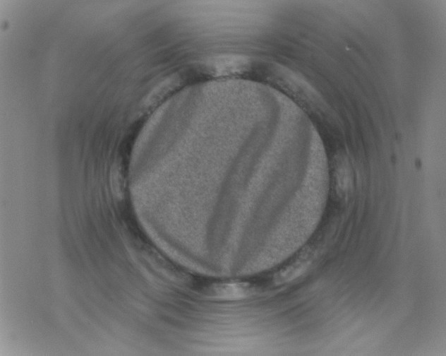 X0000073750316200608311941