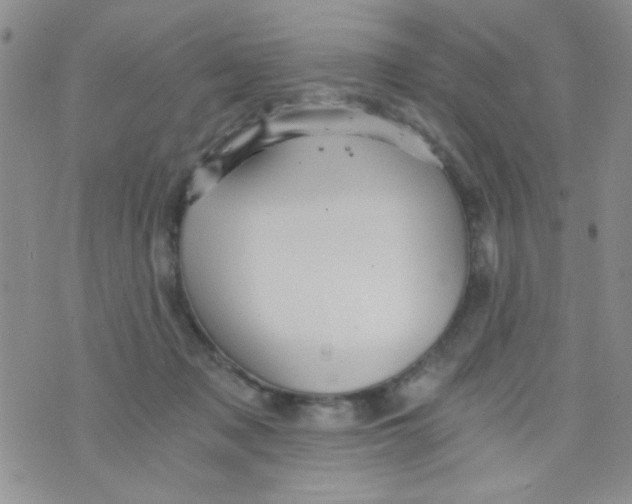 X0000073750317200608311941