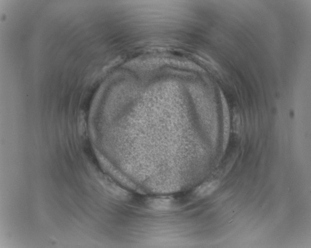 X0000073750318200608311941