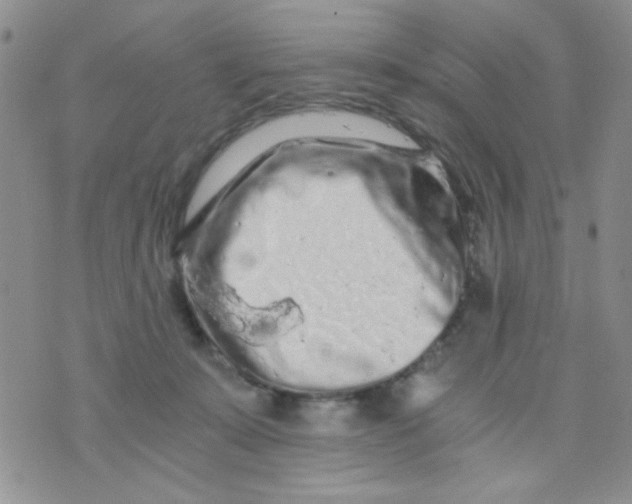 X0000073750319200608311941