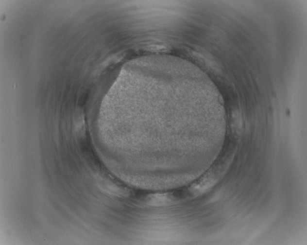 X0000073750320200608311941