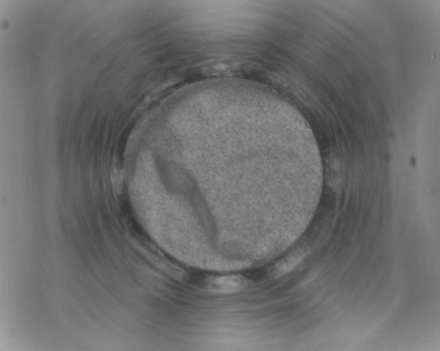 X0000073750324200608311941