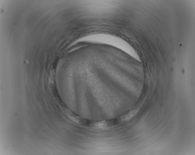 X0000073750325200608311941