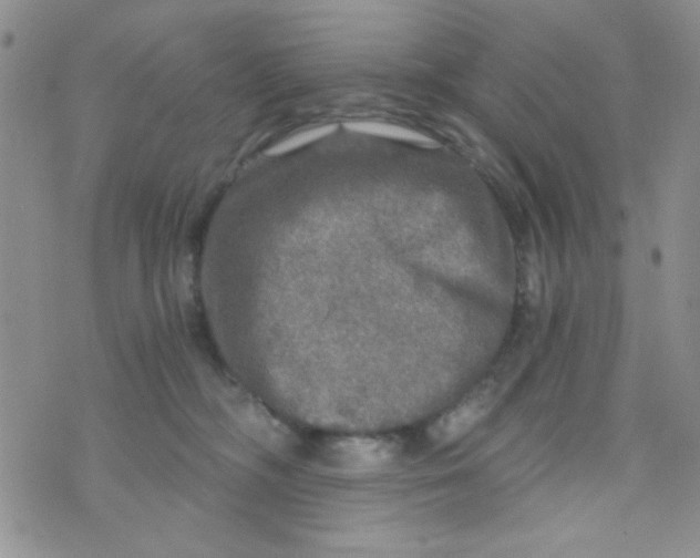 X0000073750326200608311941