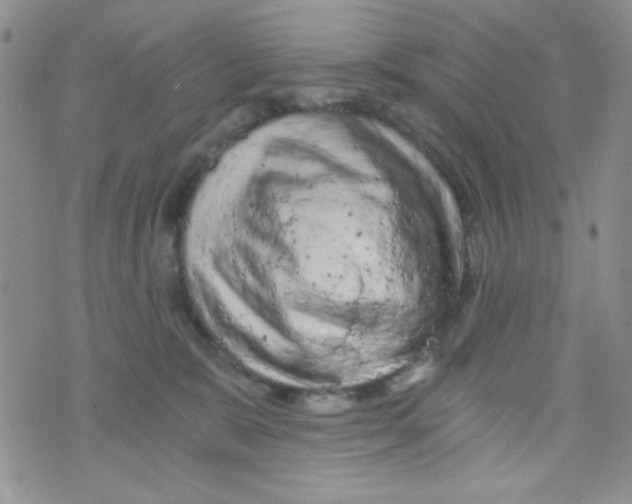 X0000073750327200608311941