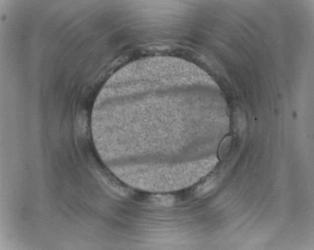 X0000073750328200608311941