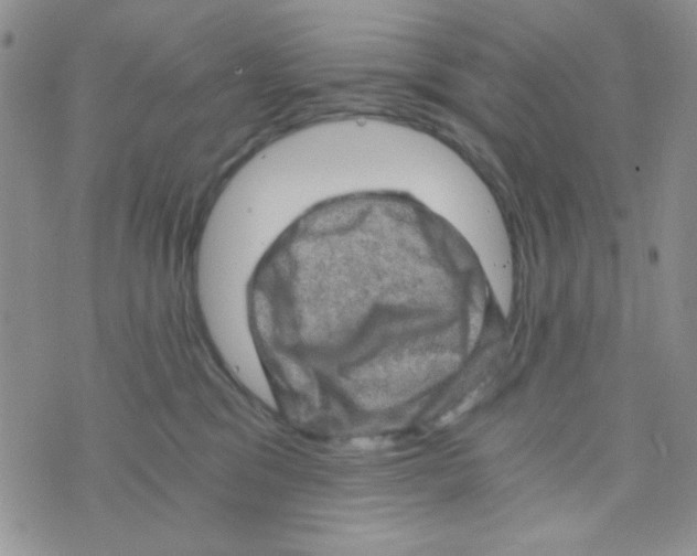 X0000073750329200608311941