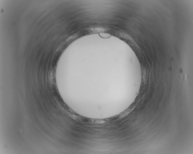 X0000073750330200608311941