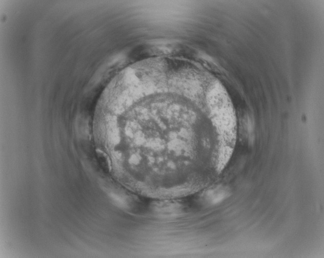 X0000073750331200608311941