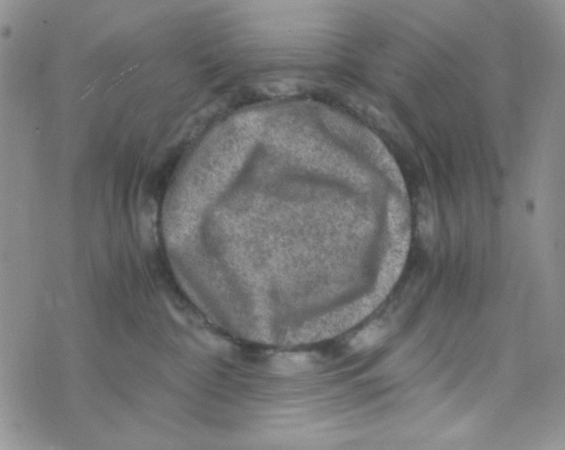 X0000073750332200608311941