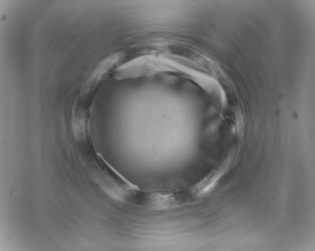 X0000073750333200608311941