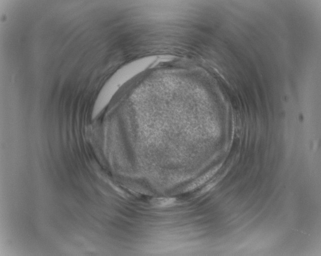 X0000073750334200608311941